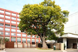 [東京都の私立中学校 偏差値ランキング（2024年度） 6位] 海城中学校