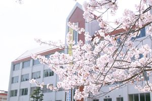 尚学館中学校の写真